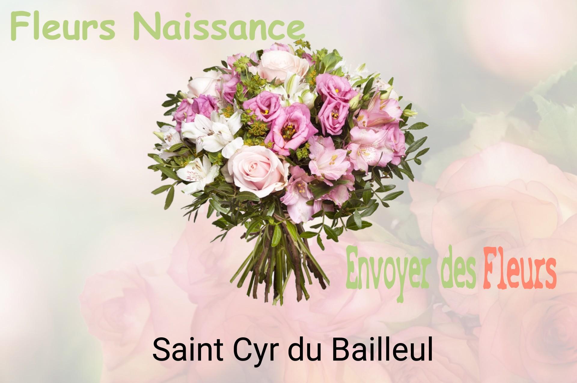 Bouquet de fleurs de naissance livré à Saint-Cyr-du-Bailleul